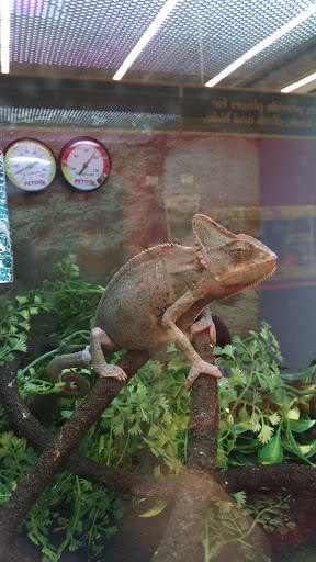 Pet Supply Store «Petco Animal Supplies», reviews and photos, 1049 S Willow St, Manchester, NH 03103, USA