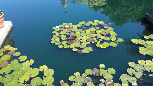 Historical Landmark «Filoli», reviews and photos, 86 Cañada Road, Woodside, CA 94062, USA