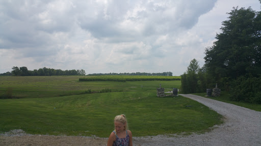 Winery «Meranda-Nixon Winery», reviews and photos, 6517 Laycock Rd, Ripley, OH 45167, USA