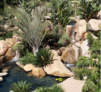 Earthcare Pools - Photo 4 - Car repair in Escondido, CA, Escondido