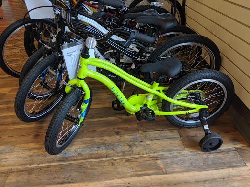 Bicycle Store «Bird Legs Bicycles», reviews and photos, 2784 Capital Cir NE, Tallahassee, FL 32308, USA