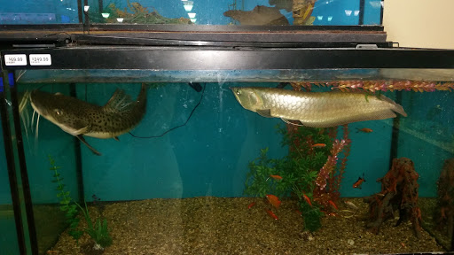 Pet Supply Store «Monster Pets», reviews and photos, 1575 N 52nd St, Philadelphia, PA 19131, USA