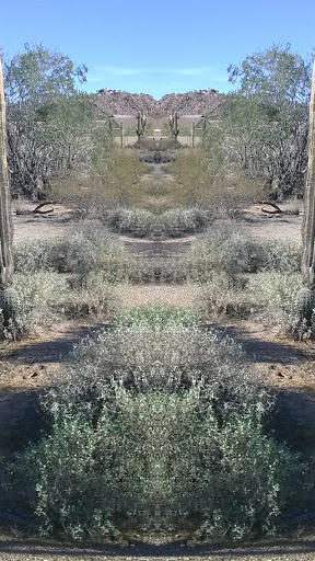 Nature Preserve «Desert Arroyo Park», reviews and photos, 9320 E McKellips Rd, Mesa, AZ 85207, USA