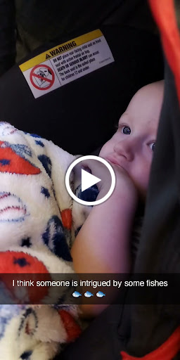 Pet Supply Store «Petco Animal Supplies», reviews and photos, 7303 Pinnacle Pkwy, Covington, LA 70433, USA