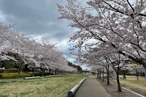 Hitachino Sakura Park image
