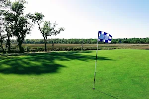 Sapelo Hammock Golf Club image