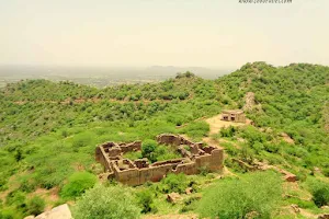 Madhogarh Fort, Haryana image