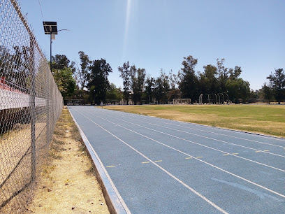 UNIDAD DEPORTIVA MARIO VAZQUEZ RAñA