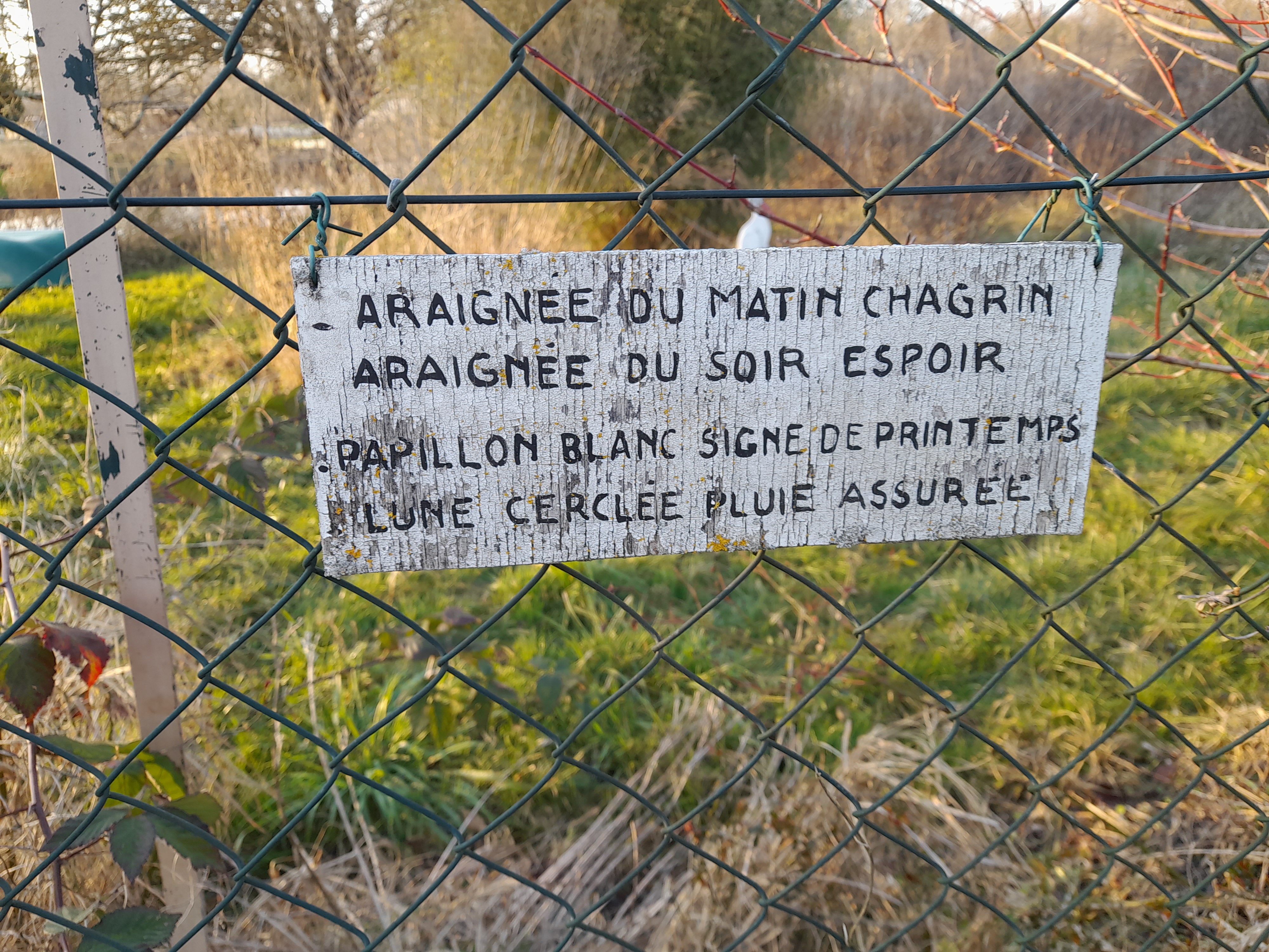 Photo n° 45 de l'avis de gilles.a fait le 11/02/2023 à 23:07