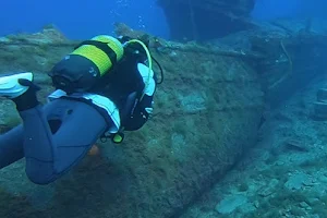 Seven Seas Divers image