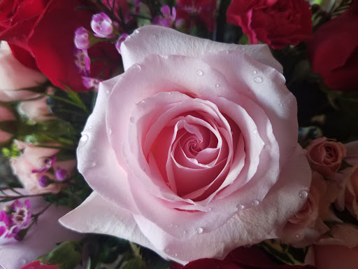 Florist «Designs by Diedrich II», reviews and photos, 1948 Essington Rd # A, Joliet, IL 60435, USA