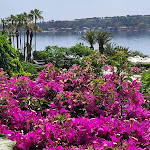 Photo n°23 de l'avis de Enza.O fait le 19/06/2022 à 09:43 sur le  Mangia’s Brucoli, Sicily, Autograph Collection à Brucoli