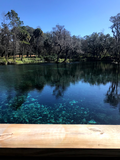 Nature Preserve «Crystal Springs Preserve», reviews and photos, 1609 Crystal Springs Rd, Crystal Springs, FL 33524, USA