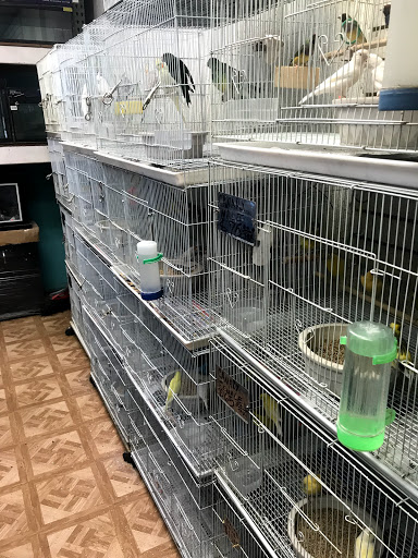 Pet Supply Store «Lucky Pets», reviews and photos, 9219 Whittier Blvd, Pico Rivera, CA 90660, USA