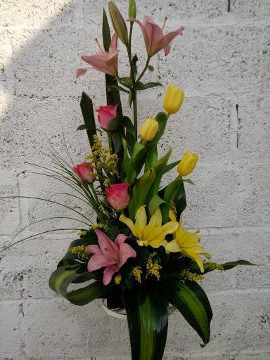 Florería Arely (FLORISTERIA ARELY) Campeche, Campeche MX. – Campeche