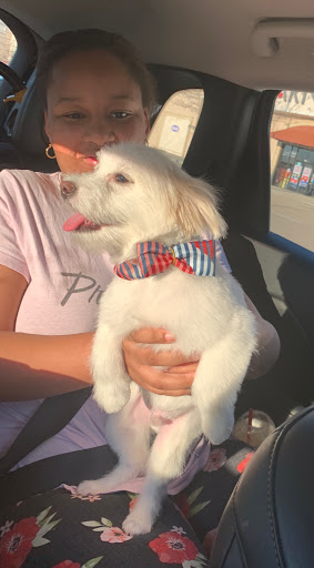 Pet Supply Store «PetSmart», reviews and photos, 10129 Crossing Way #450, Denham Springs, LA 70726, USA