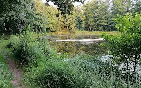 Darmbachaue von Darmstadt image