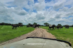 KIBEHO SAFARI image