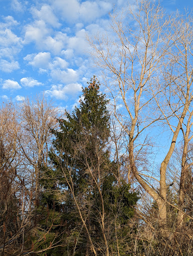 Nature Preserve «Cleveland Lakefront Nature Preserve», reviews and photos, 8701 Lakeshore Blvd, Cleveland, OH 44108, USA