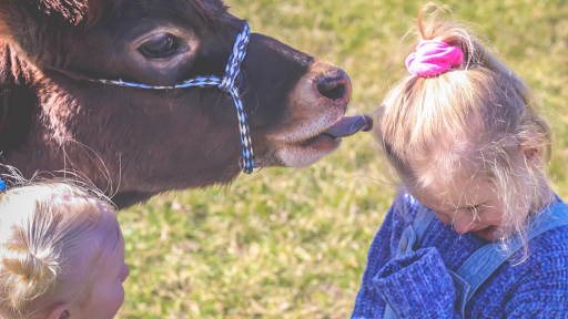 Farm «Benton Family Farm», reviews and photos, 11896 Old Lexington Pike, Walton, KY 41094, USA