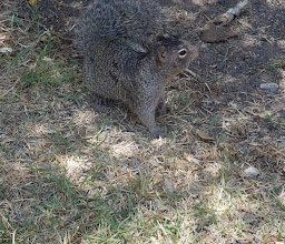 Jardines De Azucenas Park photo