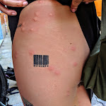 Photo n°1 de l'avis de Sarah.u fait le 24/07/2019 à 14:53 sur le  Apart Hotel Lupetta 5 à Milan