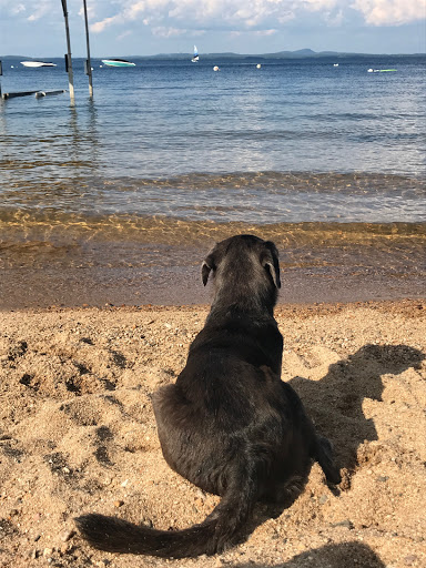 Lake «Sebago Lake», reviews and photos