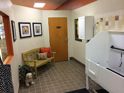 Pet Supply Store «EarthWise Pet Supply», reviews and photos, 11328 Montgomery Rd, Cincinnati, OH 45249, USA