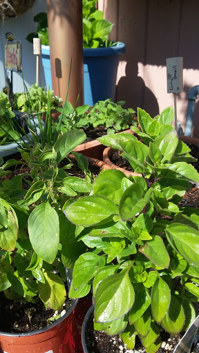 Book Store «Pipe & Thimble Bookstore», reviews and photos, 24830 Narbonne Ave, Lomita, CA 90717, USA