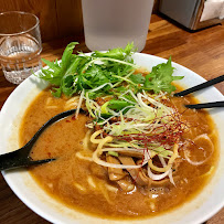 Curry du Restaurant japonais authentique SHIN-YA RAMEN シン屋ラーメン à Toulouse - n°3