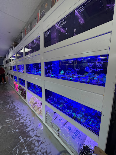 Tropical Fish Store «Barrier Reef Aquariums», reviews and photos, 1717 NE 44th St # A, Renton, WA 98056, USA