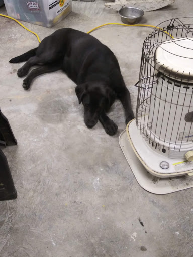 Shelbyville/Shelby County Animal Shelter