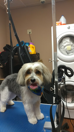 Pet Store «Pet Valu», reviews and photos, 2645 Shillington Rd, Sinking Spring, PA 19608, USA