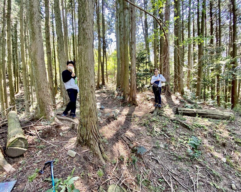 龍王山城北虎口