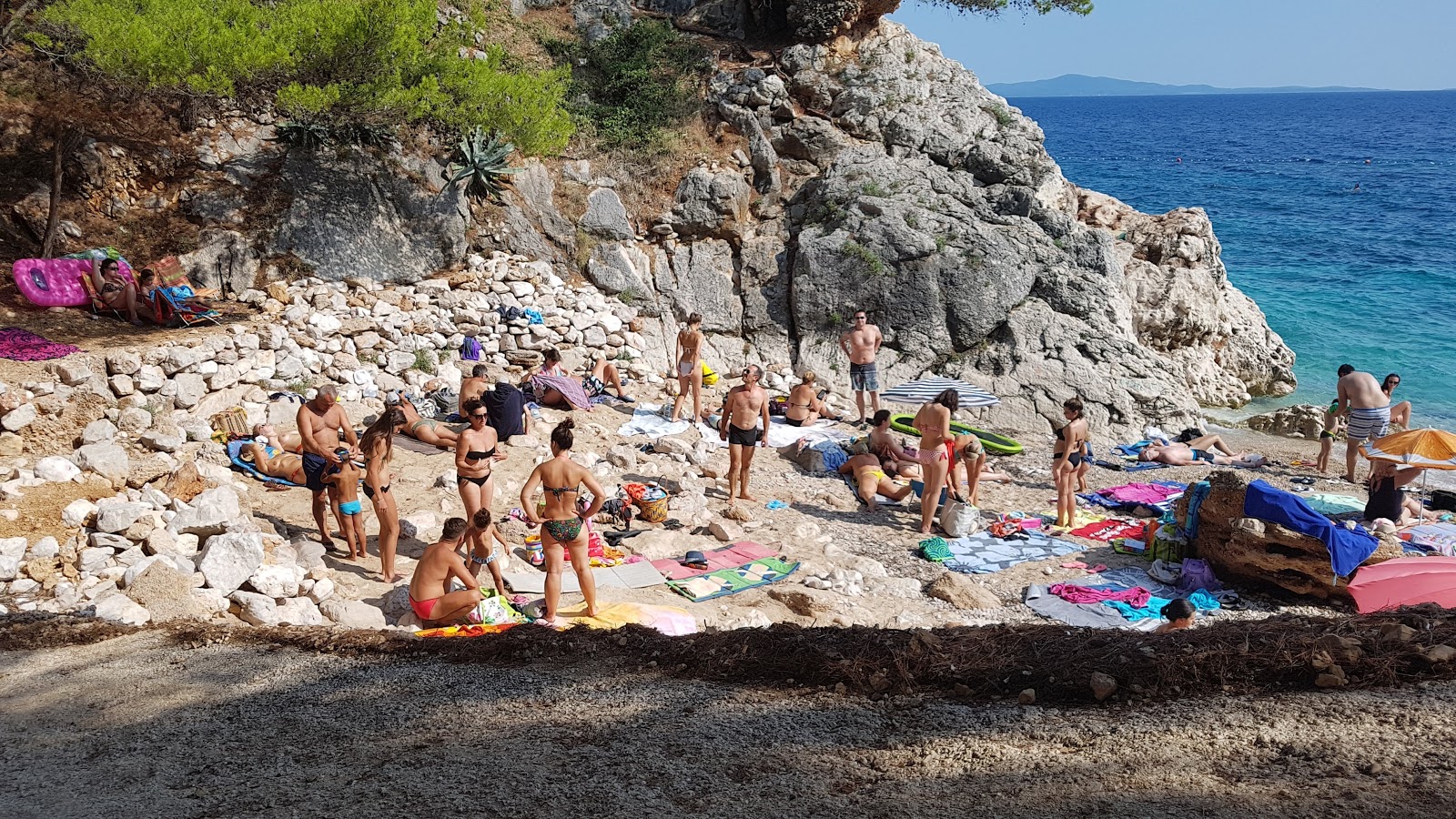 Foto av Jagodna beach beläget i naturområde