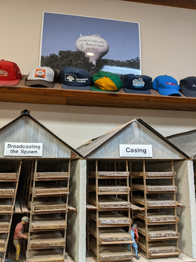 Gift Shop «The Mushroom Cap», reviews and photos, 114 W State St, Kennett Square, PA 19348, USA