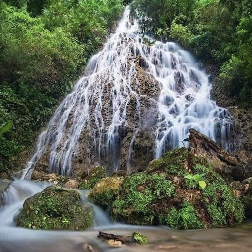 Used Car Dealer «CarMax», reviews and photos, 7420 W State Rd 84, Davie, FL 33317, USA