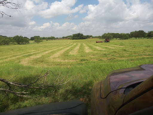 Poultry Farm «R Farm», reviews and photos, 1041 Farm-To-Market 2537, San Antonio, TX 78221, USA