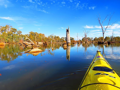 Sydney Harbour Kayaks' Murray River Adventures (Cohuna, Vic)