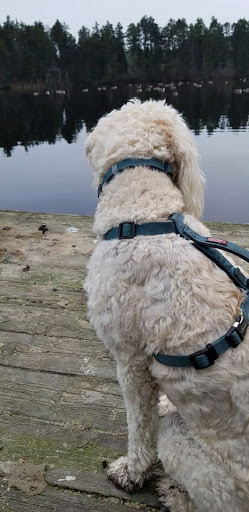 Community Park «Wells Mills County Park», reviews and photos, 905 Wells Mills Rd, Waretown, NJ 08758, USA