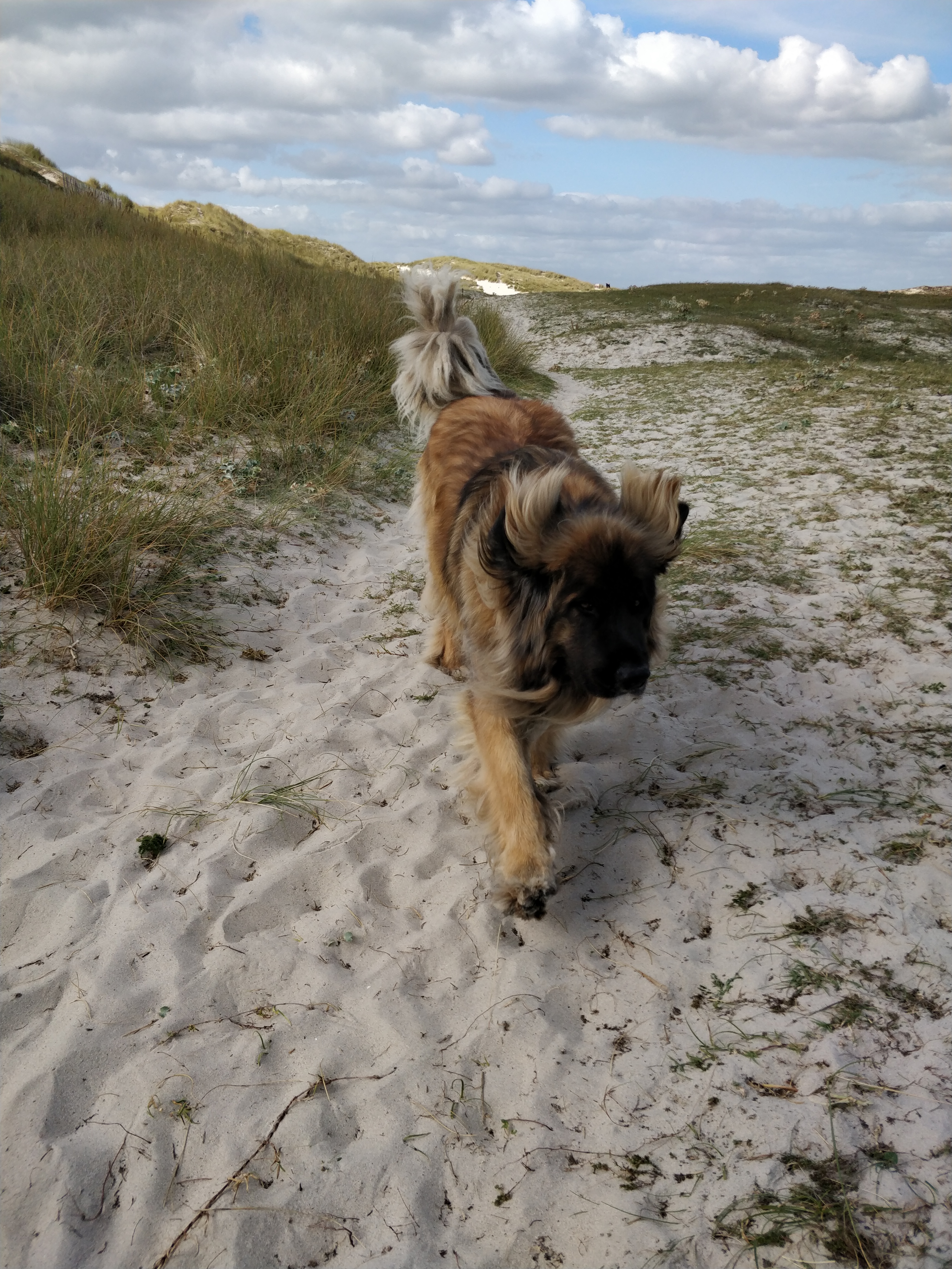 Photo n° 4 de l'avis de daniel.u fait le 16/10/2019 à 15:34