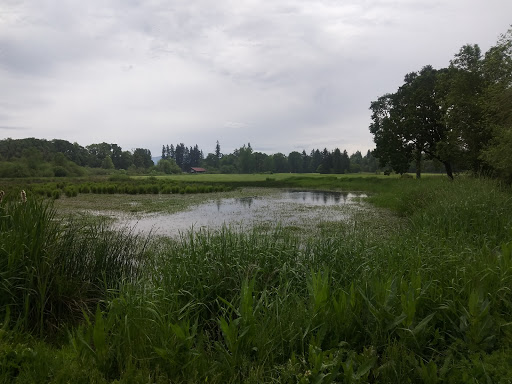 Golf Course «Eagle Creek Golf Course», reviews and photos, 25805 SE Dowty Rd, Eagle Creek, OR 97022, USA