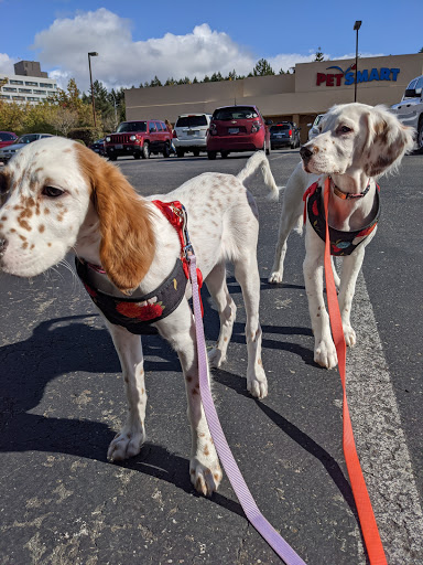 Pet Supply Store «PetSmart», reviews and photos, 9589 Ridgetop Blvd NW, Silverdale, WA 98383, USA