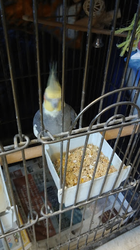 Animal Shelter «BrightSide Animal Center (formerly Humane Society of Redmond)», reviews and photos