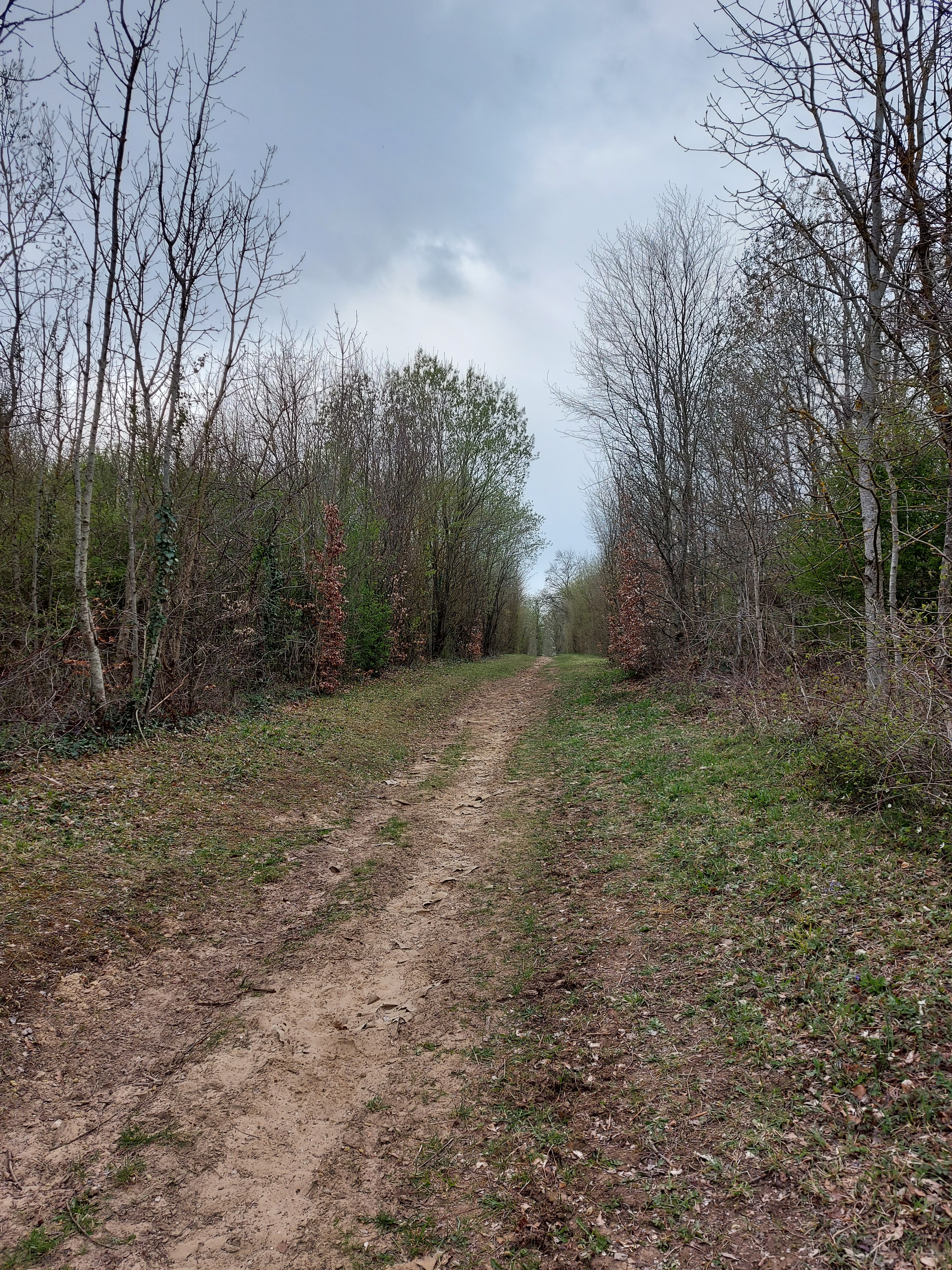 Photo n° 3 de l'avis de Michèle.t fait le 09/04/2021 à 17:13