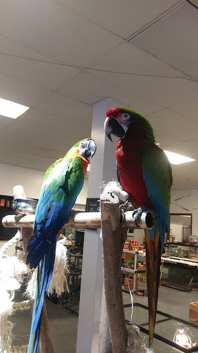 Pet Store «Off The Hook Exotics Pet Shop», reviews and photos, 926 5th Ave, Coraopolis, PA 15108, USA