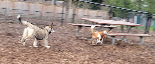 Park «Evelyn M. Schiffler Memorial Park», reviews and photos, SW Erickson Ave, Beaverton, OR 97005, USA