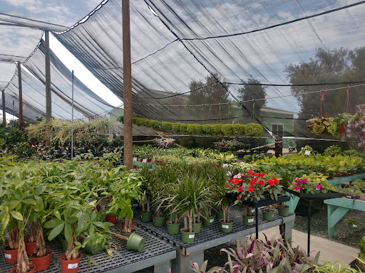 Terra Bella Nursery, Inc. image