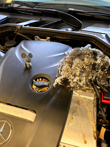 Auto Repair Shop «German Auto Specialist», reviews and photos, 2180 First St, Simi Valley, CA 93065, USA