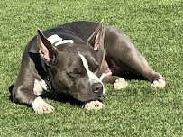 Pima North Animal Hospital - Photo 6 - Car repair in Scottsdale, AZ, Scottsdale